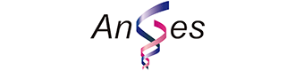 AnGes, Inc.